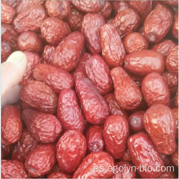 Nuevas fechas de jujube secas para la venta en venta